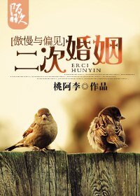 (傲慢与偏见同人)二次婚姻
